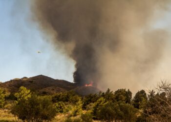 Το τελευταίο 24ωρο εκδηλώθηκαν 61 δασικές πυρκαγιές και οι πυροσβεστικές δυνάμεις αντιμετωπίζουν συνολικά 90 σε όλη την επικράτεια (φωτ.: EUROKINISSI/Λευτέρης Δαμιανίδης)