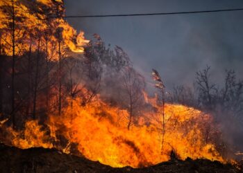 Στιγμιότυπο από τις φωτιές στη Μαγνησία (φωτ.: EUROKINISSI/Βασίλης Οικονόμου)