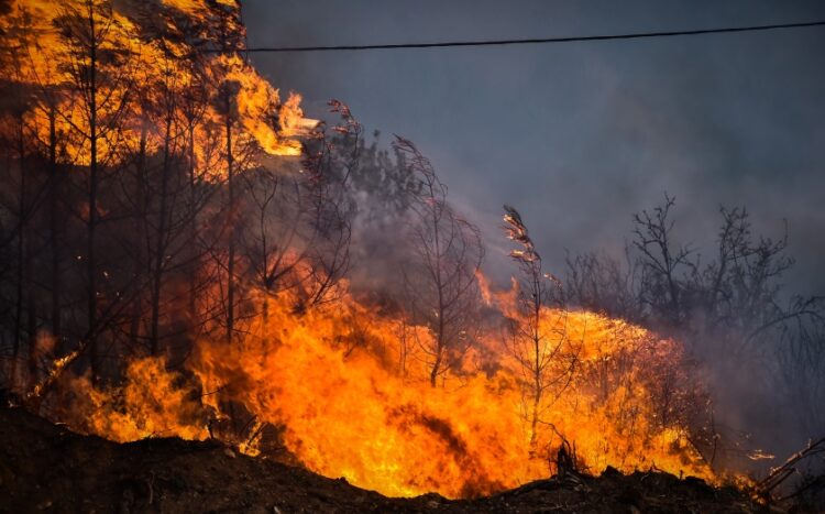 Στιγμιότυπο από τις φωτιές στη Μαγνησία (φωτ.: EUROKINISSI/Βασίλης Οικονόμου)