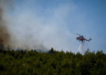 Στιγμιότυπο από την επιχείρηση κατάσβεσης της φωτιάς στην Ηλεία (φωτ.: EUROKINISSI/iliealive.gr/Γιάννης Σπυρούνης)
