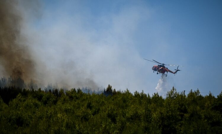 Στιγμιότυπο από την επιχείρηση κατάσβεσης της φωτιάς στην Ηλεία (φωτ.: EUROKINISSI/iliealive.gr/Γιάννης Σπυρούνης)