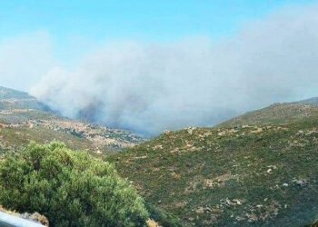 Ένα από τα μέτωπα της φωτιάς στην Κάρυστο (φωτ.: Facebook / Δημήτρης Μαρούλης)