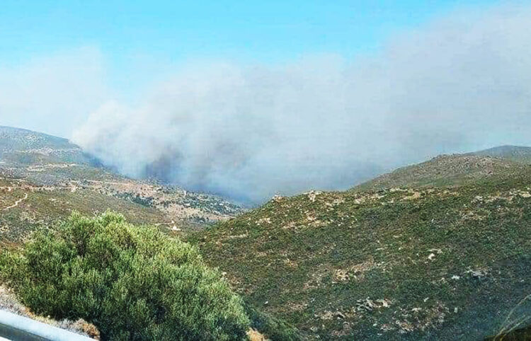 Ένα από τα μέτωπα της φωτιάς στην Κάρυστο (φωτ.: Facebook / Δημήτρης Μαρούλης)