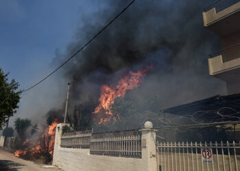 Πυρκαγιά στον Νέο Κουβαρά Αττικής 
(φωτ.: EUROKINISSI / Μιχάλης Καραγιάννης)