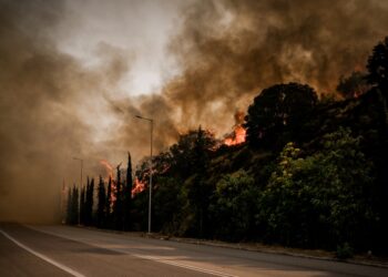 Στιγμιότυπο από τις φωτιές στην περιοχή της Λαμίας (φωτ.: EUROKINISSI/Νάσος Σιμόπουλος)