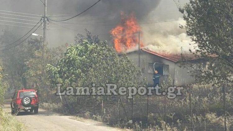 Στιγμιότυπο από τη φωτιά στη βόρεια πλευρά της Λαμίας (φωτ.: Lamiareport.gr)