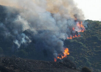Δύσβατη δασική έκταση καίει η φωτιά στη Νάξο (φωτ.: syrostoday.gr)