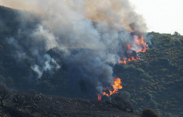 Δύσβατη δασική έκταση καίει η φωτιά στη Νάξο (φωτ.: syrostoday.gr)