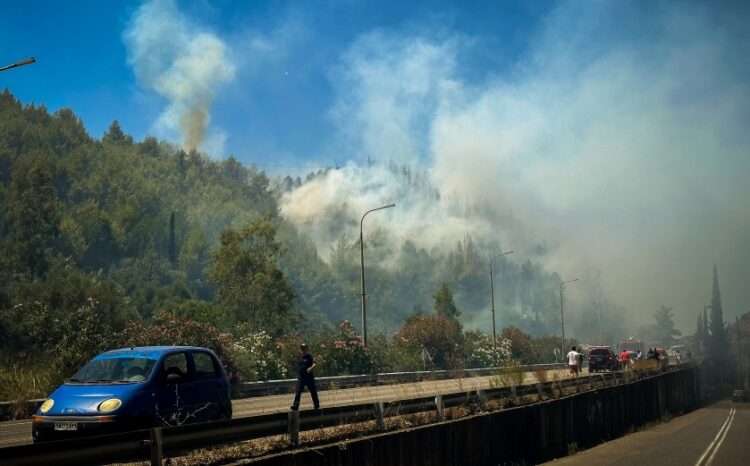 Φωτιά σε δασική έκταση στην περιοχή της Ηλείας (φωτ.: EUROKINISSI/iliealive.gr/Γιάννης Σπυρούνης)