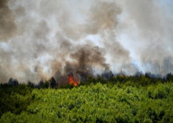 Οριοθετημένες είναι πλέον οι πυρκαγιές στις περιοχές της Ηλείας (φωτ.: EUROKINISSI/iliealive.gr/Γιάννης Σπυρούνης)