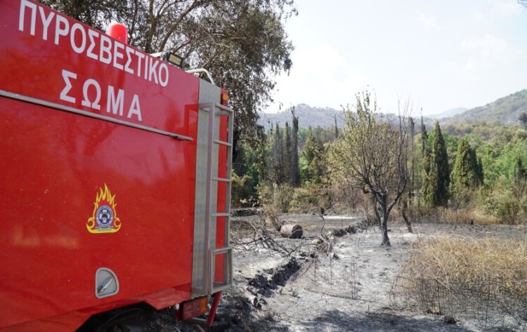 Πυροσβεστικό όχημα δίπλα σε καμένη έκταση (φωτ.: EUROKINISSI/Γιώργος Κονταρίνης)