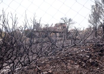 Αποκαΐδια από τη φωτιά στην Πάρνηθα (φωτ.: Κώστας Τζούμας / EUROKINISSI)