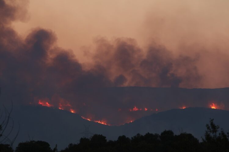 Εικόνα από τη φωτιά που άρχισε από το χωριό Διαλεκτό, στο δήμο Νέστου (φωτ.: Βασίλης Βερβερίδης / ΜΟΤΙΟΝ ΤΕΑΜ)