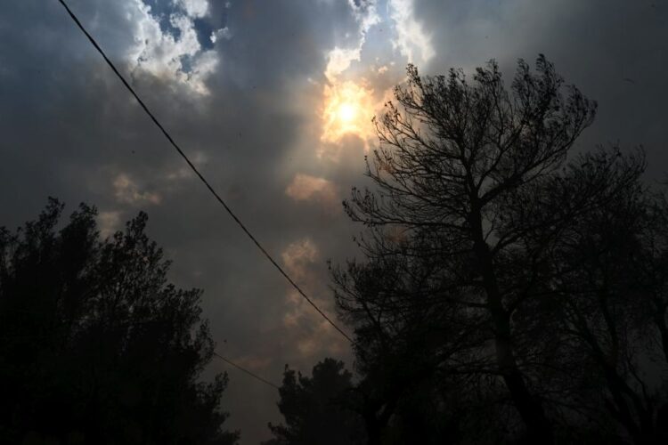 Εικόνα από τη φωτιά στην Πάρνηθα (φωτ.: Τατιάνα Μπόλαρη/ EUROKINISSI)