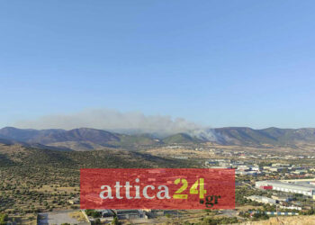 H φωτιά στη θέση Σοφό Ασπροπύργου, στο όρος Βελανιδιές (φωτ.: Facebook / attica24.gr)