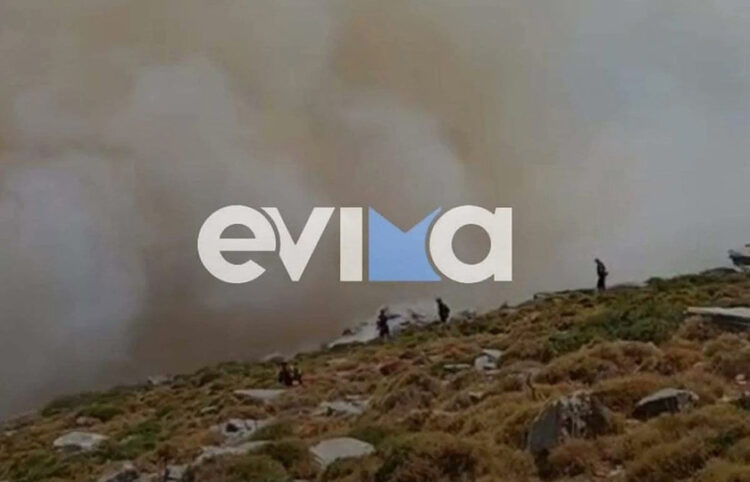 Πυροσβέστες στην περιοχή Μελισσώνας Καρύστου (φωτ.: evima.gr)