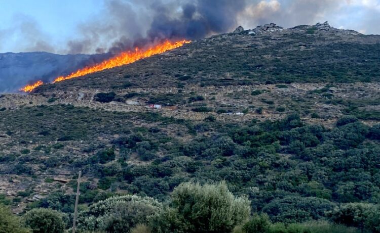 Φωτιά καίει σε δασική έκταση στην τοποθεσία «Αγία Μαρίνα» στην Άνδρο (φωτ.: ΑΠΕ-ΜΠΕ)
