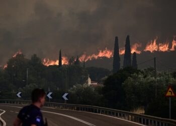 Στιγμιότυπο από πυρκαγιά στην Νέα Ζωή Ασπρόπυργου τον περασμένο Ιούλιο (φωτ.: EUROKINISSI/Μιχάλης Καραγιάννης)