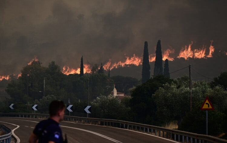 Στιγμιότυπο από πυρκαγιά στην Νέα Ζωή Ασπρόπυργου τον περασμένο Ιούλιο (φωτ.: EUROKINISSI/Μιχάλης Καραγιάννης)
