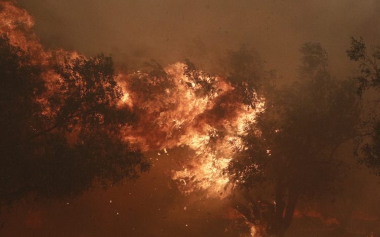 Οι φλόγες έφτασαν πολύ κοντά στην Ιερά Μονή Κοιμήσεως Θεοτόκου «Κλειστών» (φωτ.: EUROKINISSI/Σωτήρης Δημητρόπουλος)