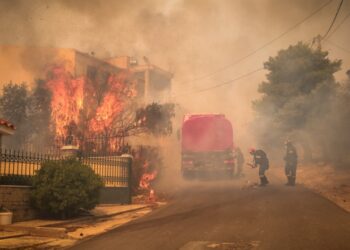 Οι φλόγες στη Φυλή έχουν πλέον μπει στην κατοικημένη περιοχή (φωτ.: EUROKINISSI/Κώστας Τζούμας)