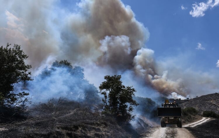 Ορεινή περιοχή έχει παραδοθεί στις φλόγες (φωτ. αρχείου: EUROKINISSI/Βασίλης Οικονόμου)
