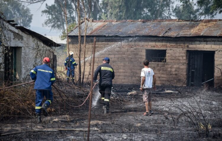 Πυροσβέστες και εθελοντές επιχειρούν σε κτήρια μέσα στον οικισμό της Νέας Σαμψούντας (φωτ.: EUROKINISSI/Γιώργος Ευσταθίου)
