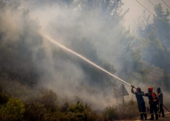 Πυροσβέστες και εθελοντές επιχειρούν εναντίον της φωτιάς που κατέκαψε τη Ρόδο (φωτ.: EUROKINISSI/Νάσος Σιμόπουλος)