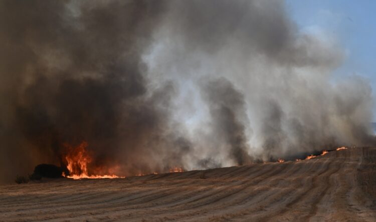 Φλόγες κατακαίνε χωράφι στη Νέα Αγχίαλο (φωτ.: EUROKINISSI/Τατιάνα Μπόλαρη)