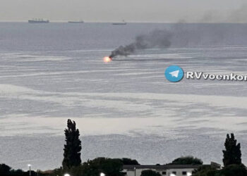 Το πλοίο που έχει χτυπηθεί θεωρείται ότι είναι το «Ολενεγκόρσκι Γκορνιάκ» του ρωσικού Πολεμικού Ναυτικού. Το πλάνο προέρχεται από βίντεο που αναρτήθηκε στο Twitter