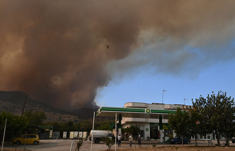 Από την πυρκαγιά στη Νέα Αγχίαλο (φωτ.: EUROKINISSI / Τατιάνα Μπόλαρη)
