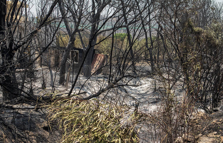 Καμένη γη στη νότια Ρόδο, στο παραθαλάσσιο Κιοτάρι (φωτ.: EUROKINISSI / Λευτέρης Δαμιανίδης)
