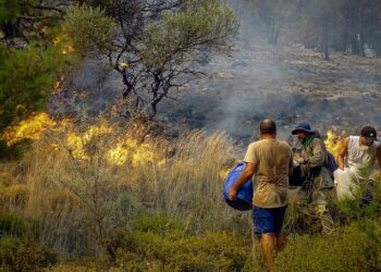Εθελοντές πυροσβέστες προσπαθούν να σβήσουν φωτιά σε δάσος της Ρόδου (φωτ.: EUROKINISSI/Αργύρης Μαντικός)