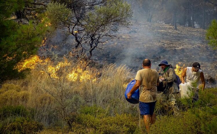 Εθελοντές πυροσβέστες προσπαθούν να σβήσουν φωτιά σε δάσος της Ρόδου (φωτ.: EUROKINISSI/Αργύρης Μαντικός)