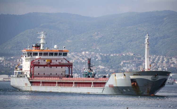 Φορτηγό πλοίο με τουρκική σημαία στην επαρχία Κοτζαέλι (φωτ.: EPA/Erdem Sahin)
