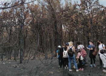 Η ομάδα των παιδιών στο καμένο δάσος της Δαδιάς (φωτ.: facebook/ΑΡΣΙΣ - Ξενώνας «Έλλη», Αλεξανδρούπολη)
