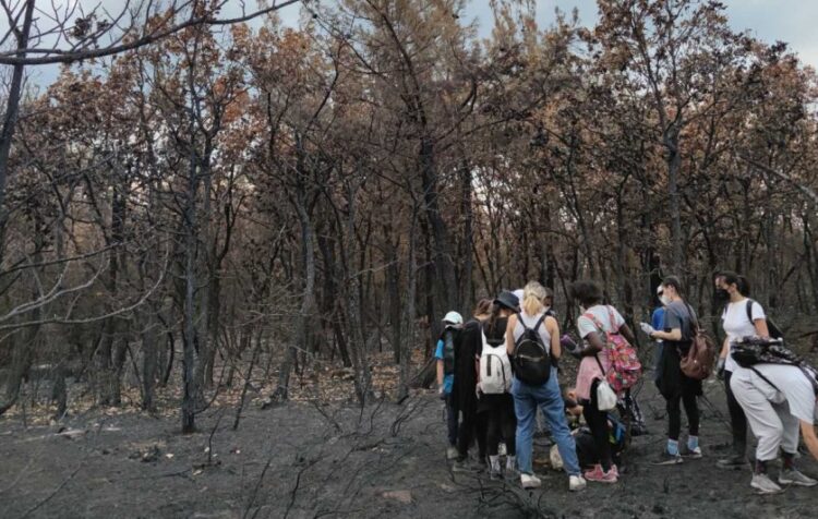 Η ομάδα των παιδιών στο καμένο δάσος της Δαδιάς (φωτ.: facebook/ΑΡΣΙΣ - Ξενώνας «Έλλη», Αλεξανδρούπολη)