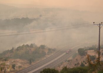 Φλόγες και πυκνοί καπνοί για 15η ημέρα στις περιοχές του Έβρου (φωτ.: ΜΟΤΙΟΝΤΕΑΜ/Βασίλης Βερβερίδης)