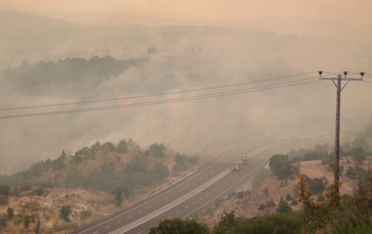 Φλόγες και πυκνοί καπνοί για 15η ημέρα στις περιοχές του Έβρου (φωτ.: ΜΟΤΙΟΝΤΕΑΜ/Βασίλης Βερβερίδης)