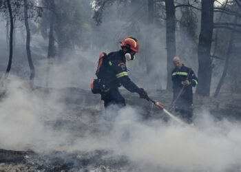 Πυροσβέστες επιχειρούν κατά της πυρκαγιάς στη Σταμάτα (φωτ.: EUROKINISSI/Μιχάλης Καραγιάννης)