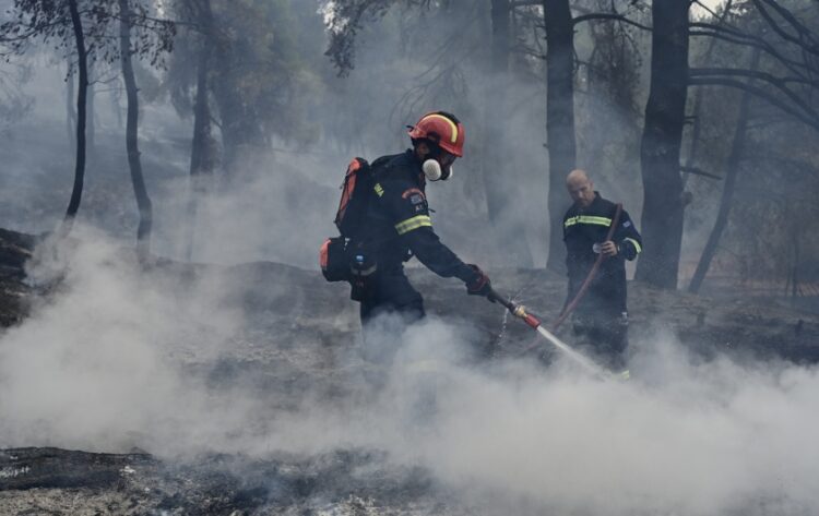 Πυροσβέστες επιχειρούν κατά της πυρκαγιάς στη Σταμάτα (φωτ.: EUROKINISSI/Μιχάλης Καραγιάννης)