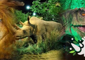 Ζώα της ζούγκλας, δεινόσαυροι και πολλά άλλα εντυπωσιακά και απολύτως ρεαλιστικά στον ρομποτικό ζωολογικό κήπο του «Νόησις» (φωτ.: Κέντρο Διάδοσης Επιστημών και Μουσείο Τεχνολογίας «Νόησις»)