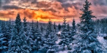Ηλιοβασίλεμα πίσω από τα χιονισμένα έλατα στον Χολομώντα (φωτ, αρχείου: ΜΟΤΙΟΝΤΕΑΜ/Βασίλης Βερβερίδης)