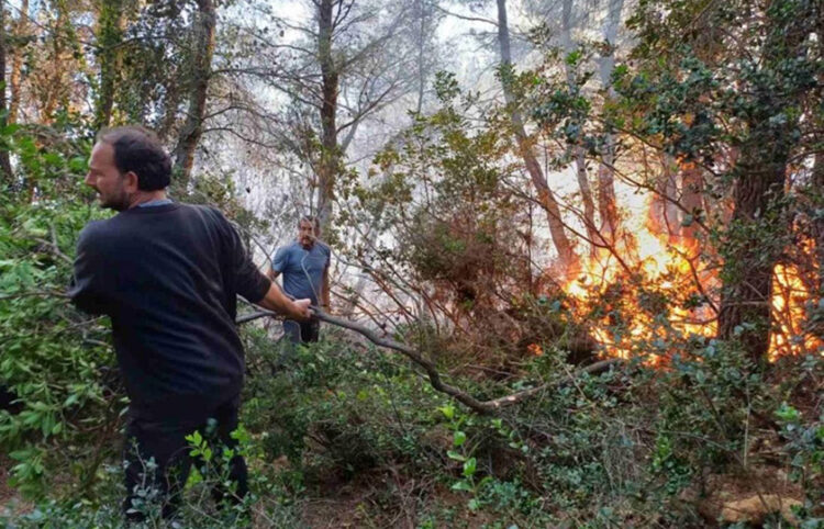 Εθελοντές στη μάχη για την κατάσβεση της πυρκαγιάς που ξέσπασε στο Νότιο Πήλιο (φωτ.: magnesianews.gr)