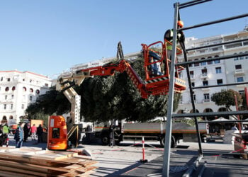 Φορτηγό μεταφέρει το χριστουγεννιάτικο δέντρο στην πλατεία Αριστοτέλους (φωτ.: ΑΠΕ-ΜΠΕ / Αχιλλέας Χήρας)