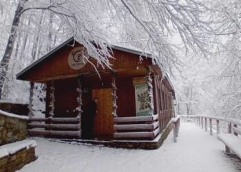 Λευκό και χιονισμένο το τοπίο στο καταφύγιο του «Αρκτούρου» (φωτ,: Αρκτούρος/G. Mostakis)