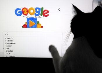 Γάτα πιθανότατα αναζητά μέσω της Google πώς να ξεφορτωθεί τα αφεντικά της (φωτ.: EPA/John G. Mabanglo)