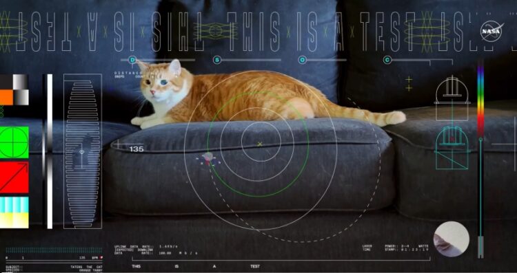 Στιγμιότυπο από το βίντεο με την πορτοκαλί γάτα που κυνηγάει την κόκκινη κουκκίδα του λέιζερ (φωτ.: Χ/NASA)