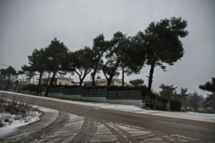 Χιονόπτωση στην Ιπποκράτειο Πολιτεία 
(φωτ.: Διονύσης Πατεράκης/EUROKINISSI)
