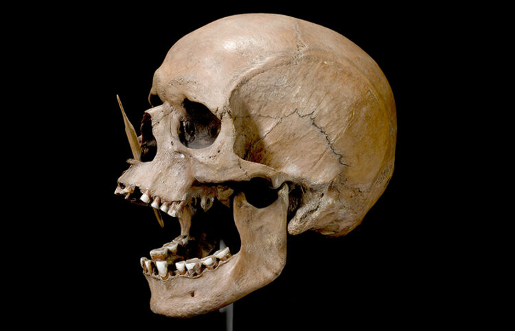 Ο άνθρωπος Porsmose (χρονολογείται τη Νεολιθική περίοδο) που βρέθηκε το 1947 με ένα κεφάλι βέλους στη μύτη, στην περιοχή Porsmose της Δανίας (φωτ.: The Danish National Museum)